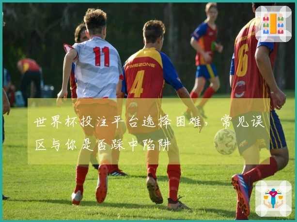 世界杯投注平台选择困难,常见误区与你是否踩中陷阱
