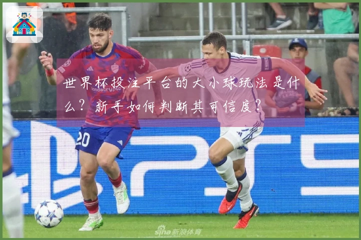 世界杯投注平台的大小球玩法是什么？新手如何判断其可信度？