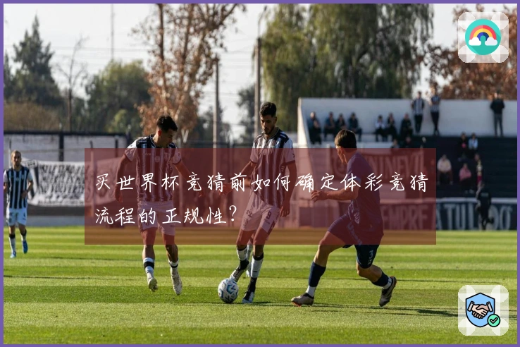 买世界杯竞猜前如何确定体彩竞猜流程的正规性?