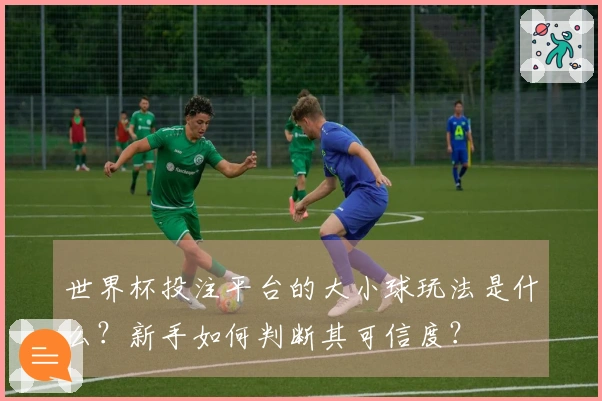世界杯投注平台的大小球玩法是什么？新手如何判断其可信度？